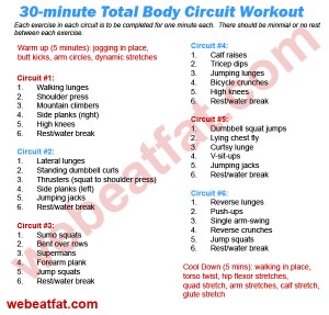 30 minute full body circuit workout